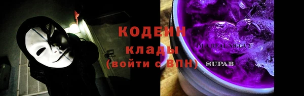 ПСИЛОЦИБИНОВЫЕ ГРИБЫ Арсеньев