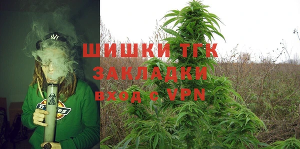 ПСИЛОЦИБИНОВЫЕ ГРИБЫ Арсеньев