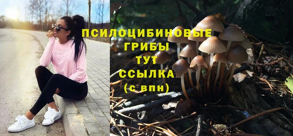 Альфа ПВП Армянск