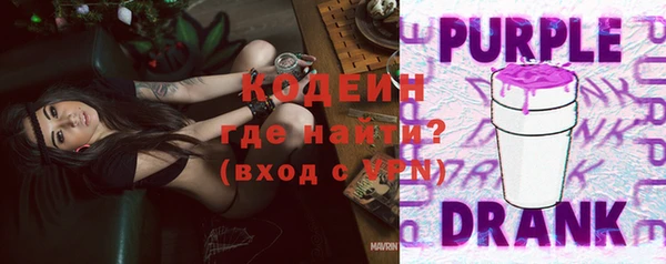 ПСИЛОЦИБИНОВЫЕ ГРИБЫ Арсеньев