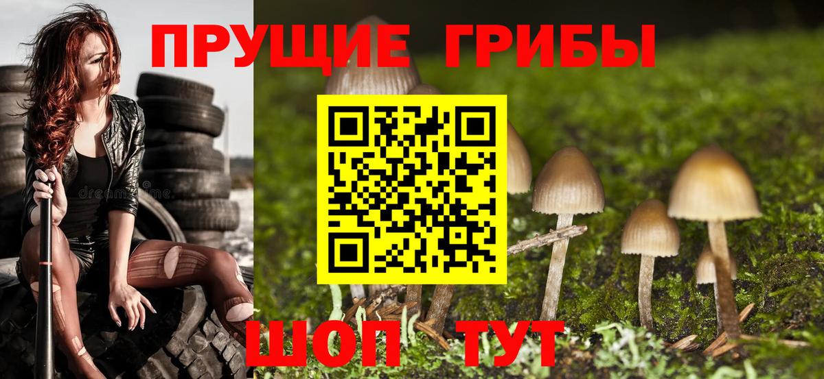 Псилоцибиновые грибы GOLDEN TEACHER Нововоронеж