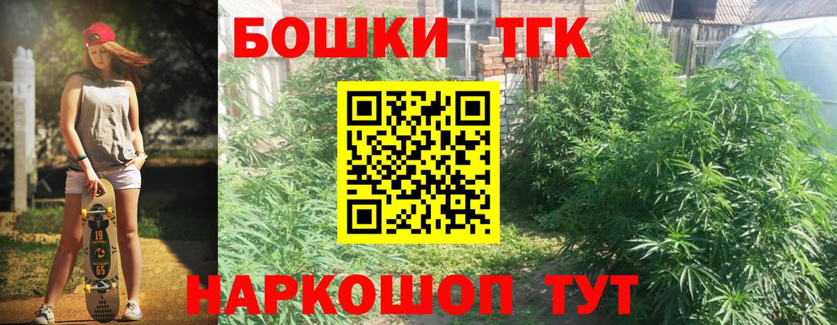 Марихуана конопля Нововоронеж